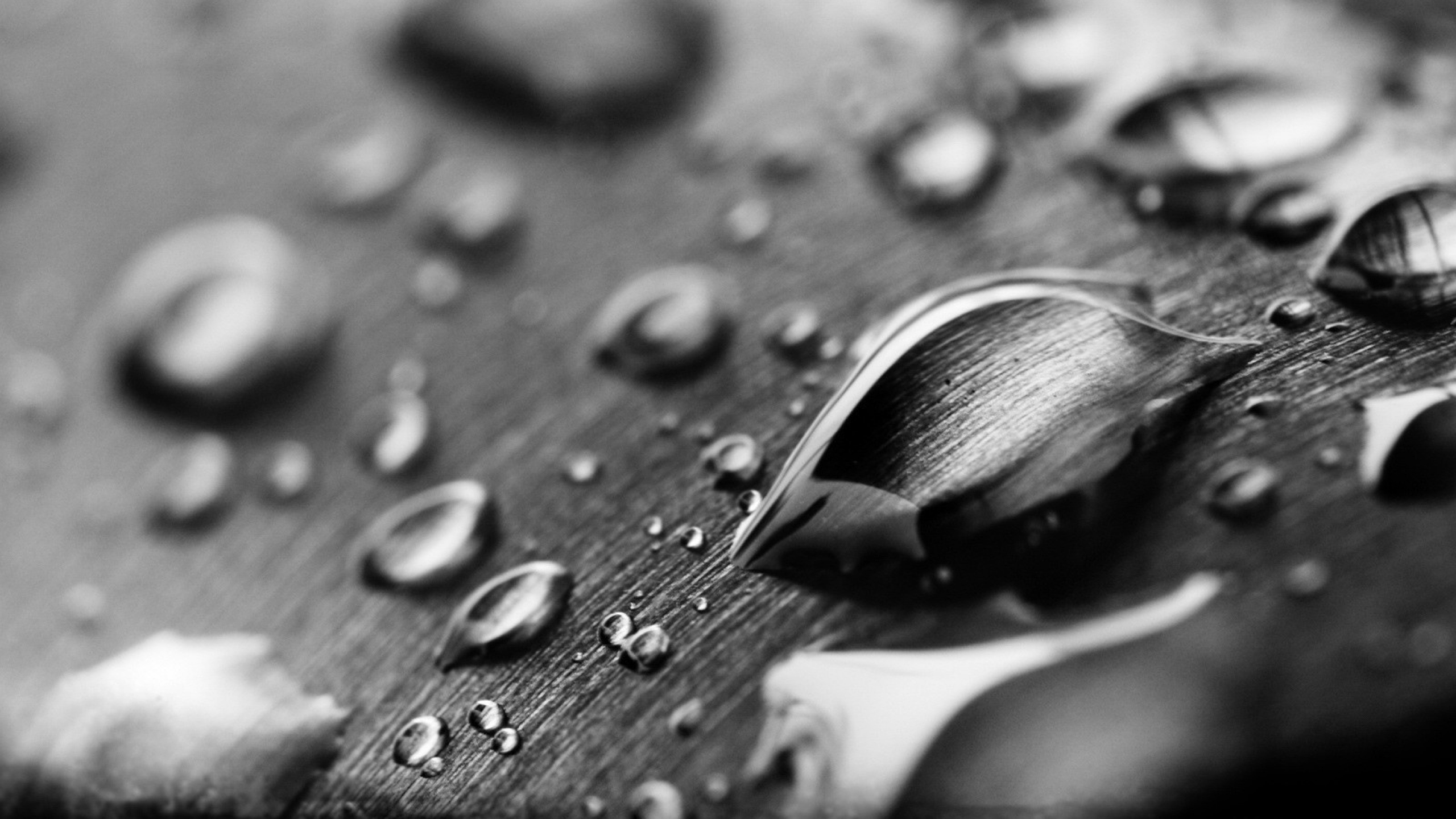 test slide two alt text